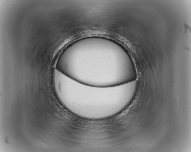 X0000097981165200803241035