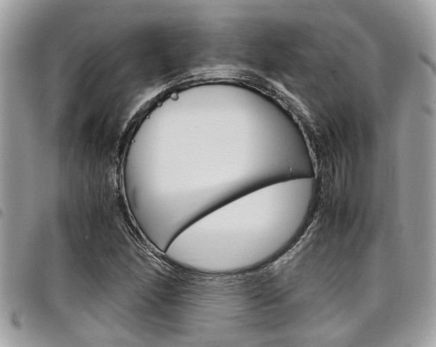 X0000097981166200803241035