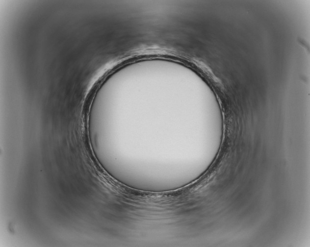 X0000097981167200803241035