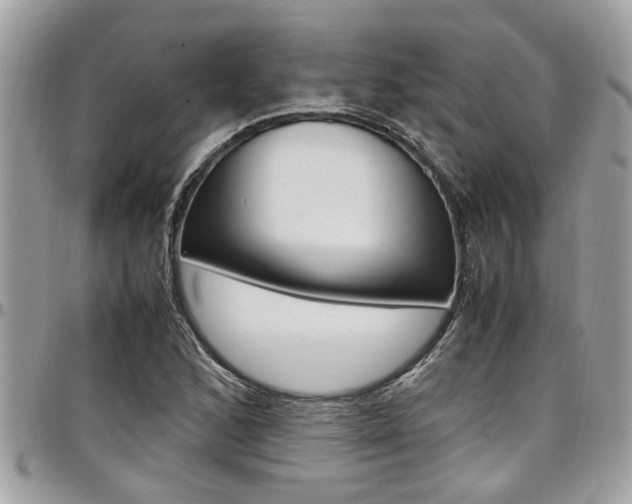 X0000097981168200803241035