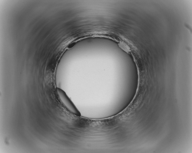 X0000097981169200803241035
