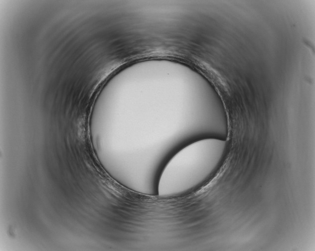 X0000097981170200803241035
