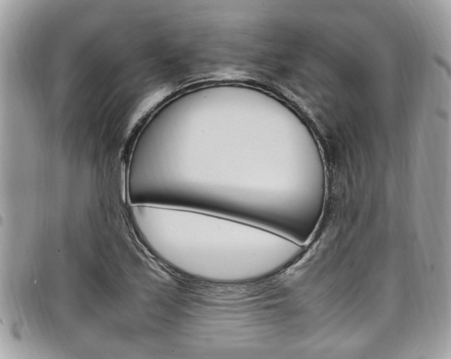 X0000097981171200803241035