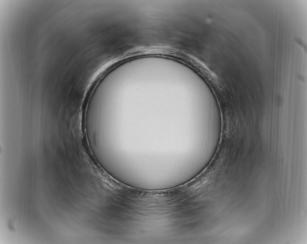 X0000097981174200803241035