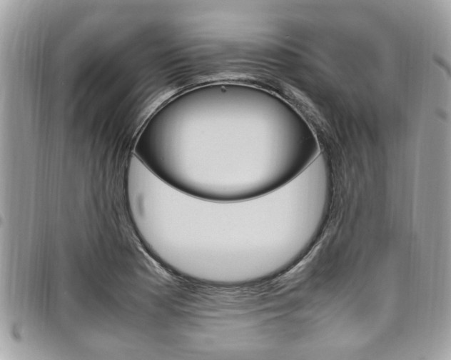 X0000097981177200803241035