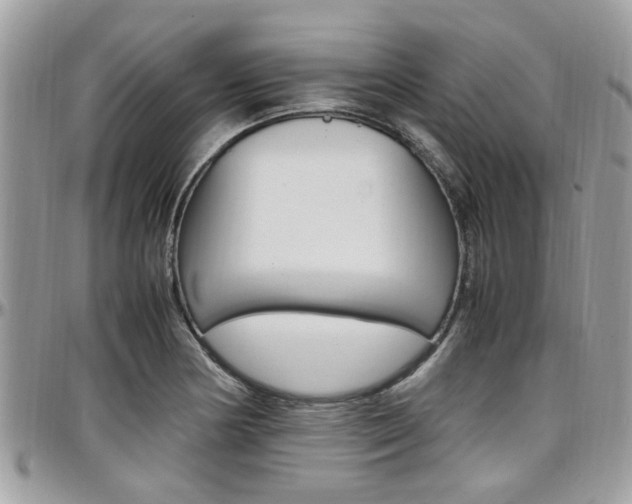 X0000097981178200803241035