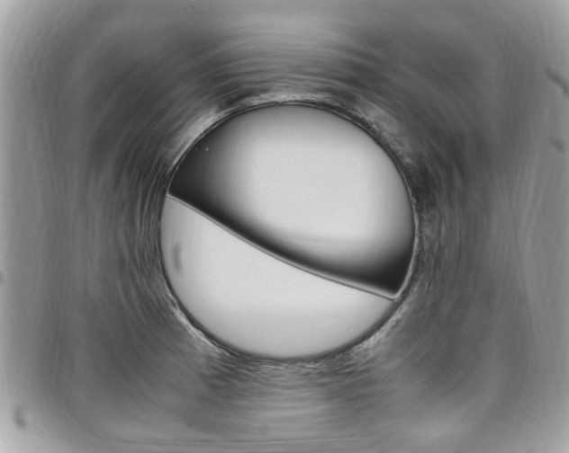 X0000097981185200803241035