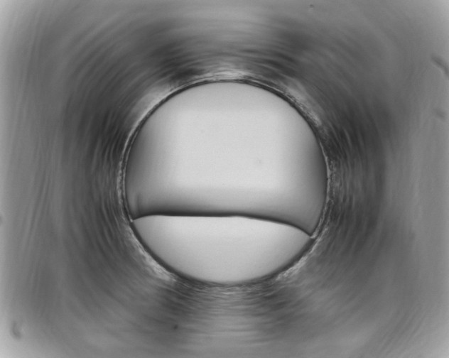 X0000097981186200803241035