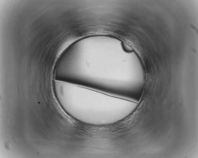 X0000097981187200803241035