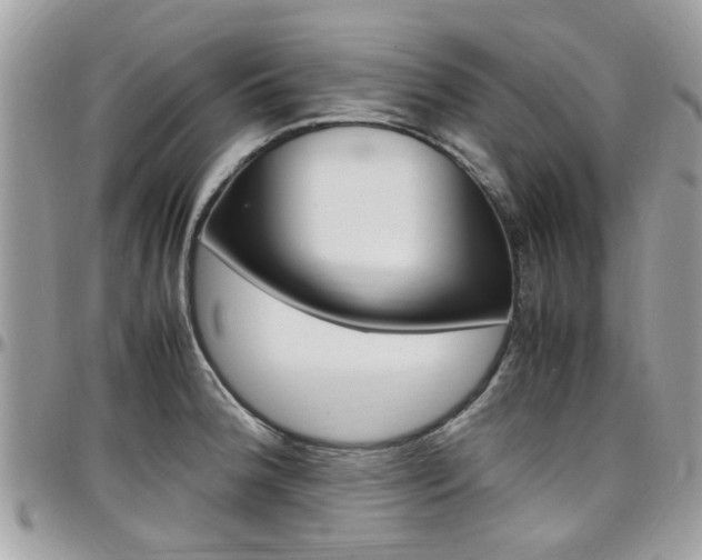 X0000097981188200803241035