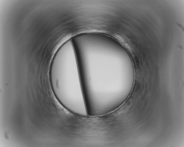X0000097981189200803241035