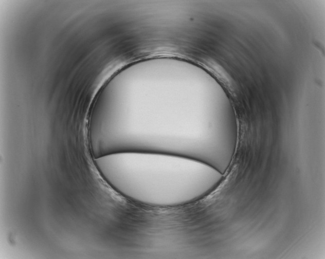 X0000097981190200803241035