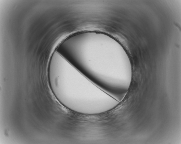 X0000097981191200803241035