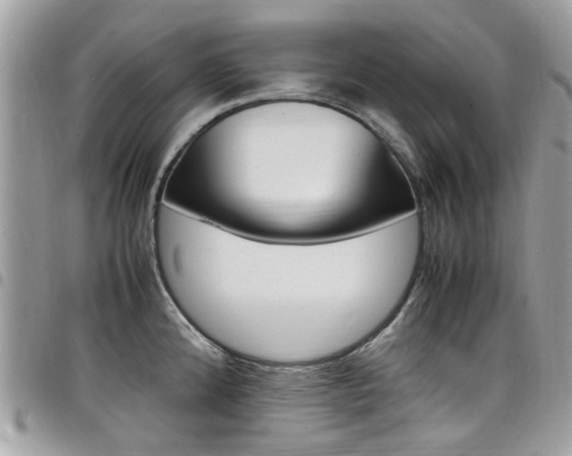 X0000097981192200803241035
