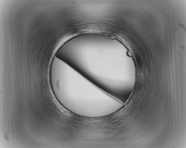 X0000097981195200803241035
