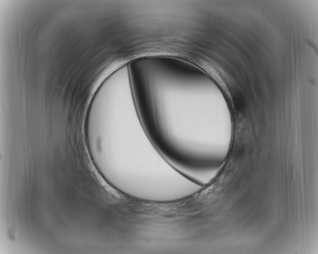 X0000097981197200803241035