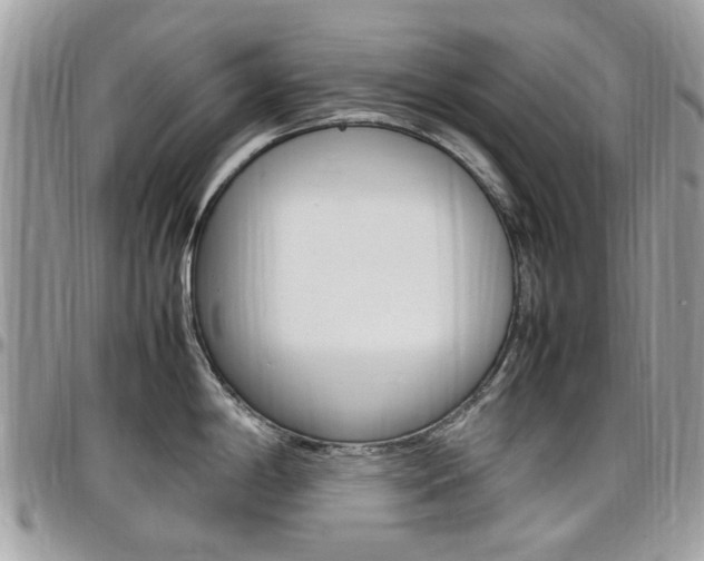 X0000097981198200803241035