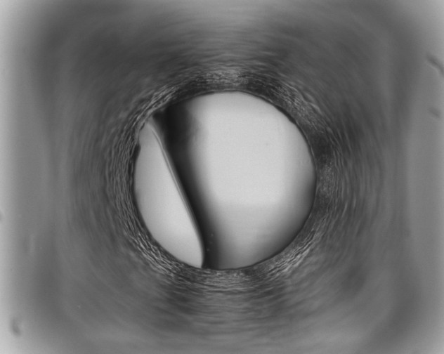 X0000097981201200803241034