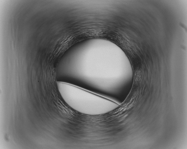 X0000097981202200803241034