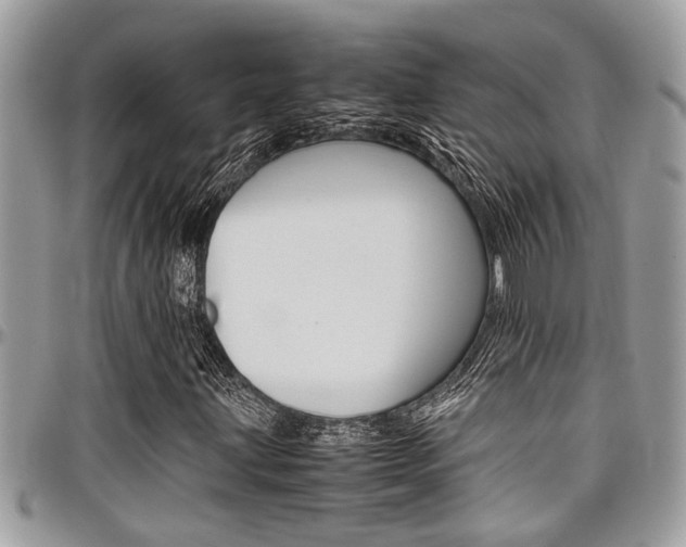 X0000097981203200803241034