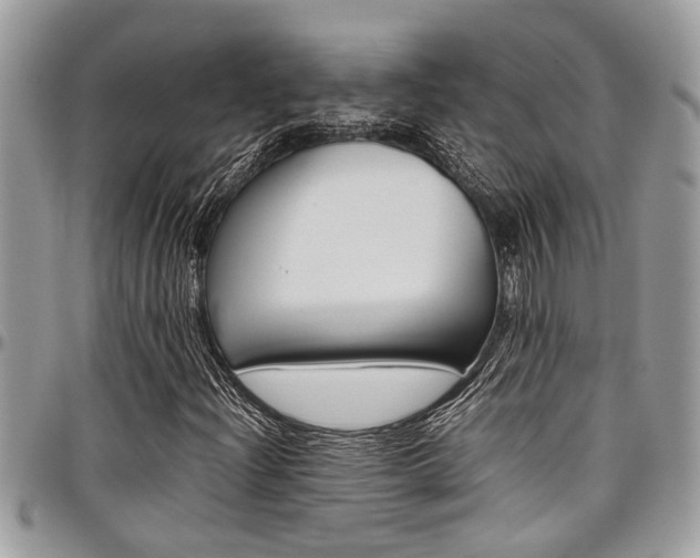 X0000097981204200803241034