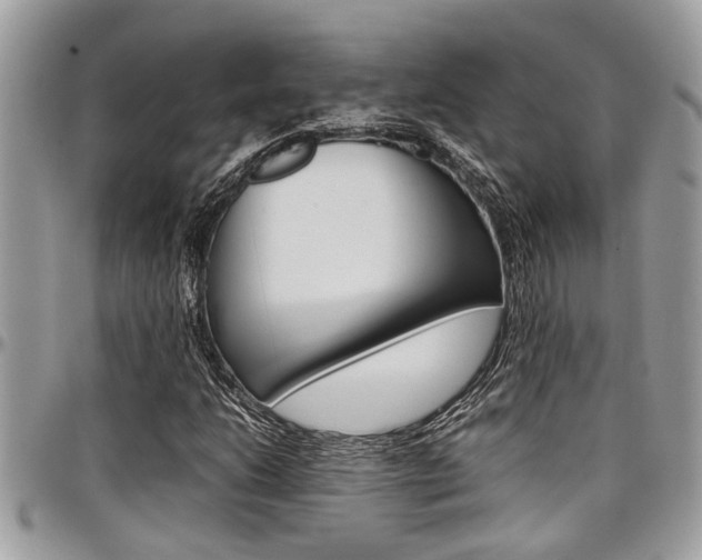 X0000097981206200803241034