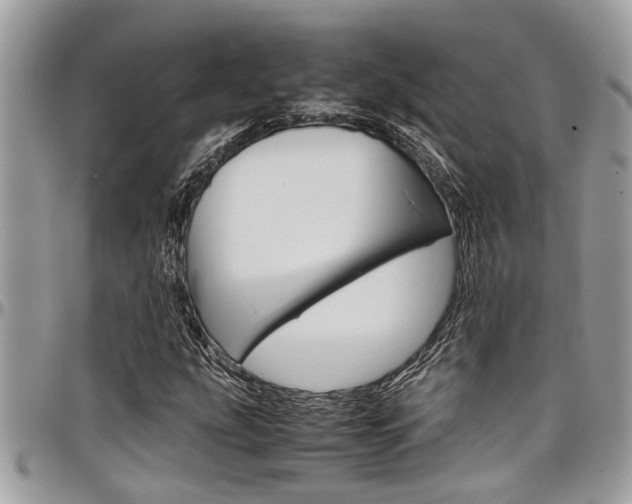 X0000097981207200803241034