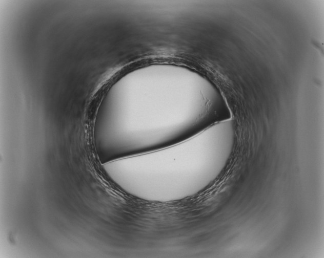 X0000097981208200803241034