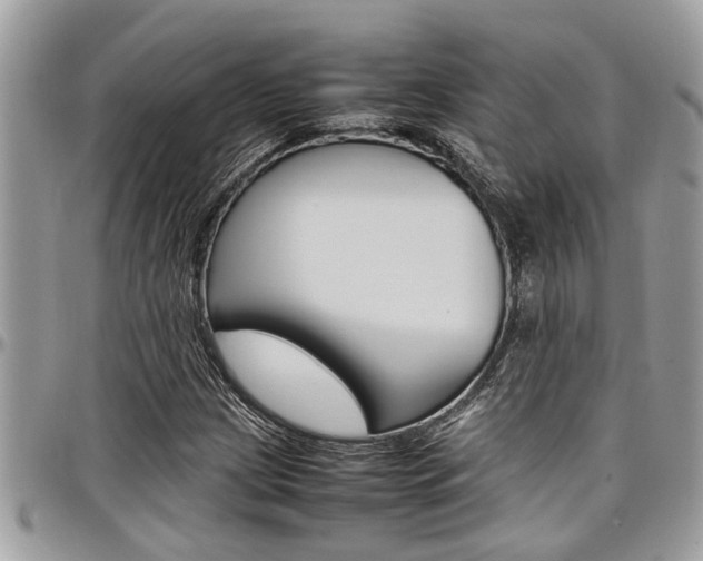 X0000097981209200803241034