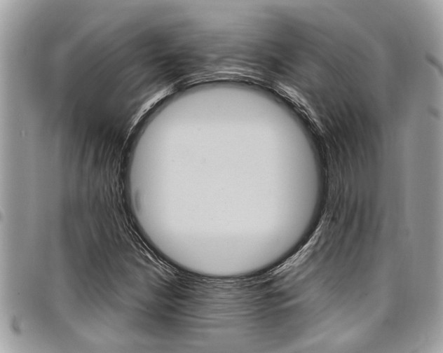 X0000097981210200803241034