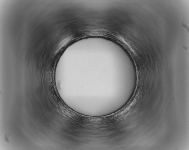X0000097981211200803241034