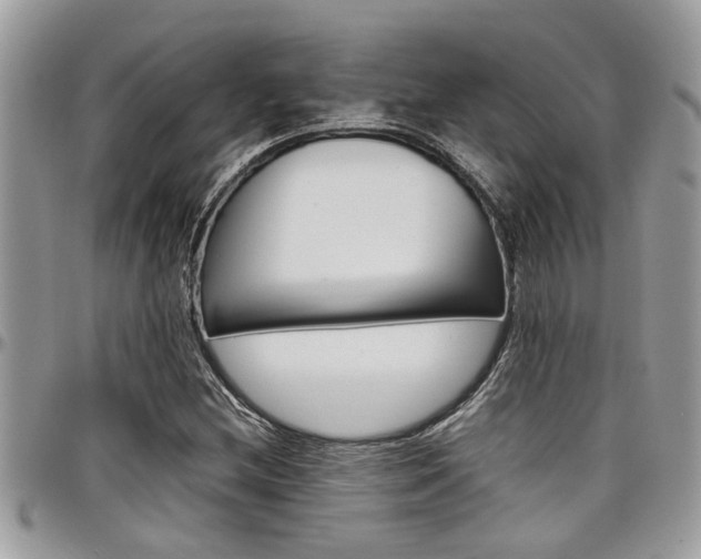 X0000097981212200803241034