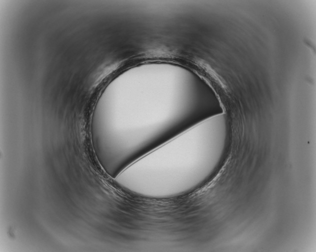 X0000097981213200803241034