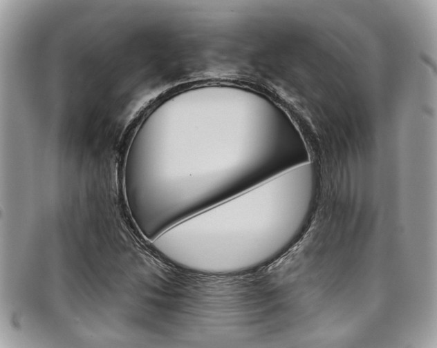 X0000097981214200803241034