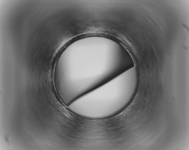 X0000097981216200803241034
