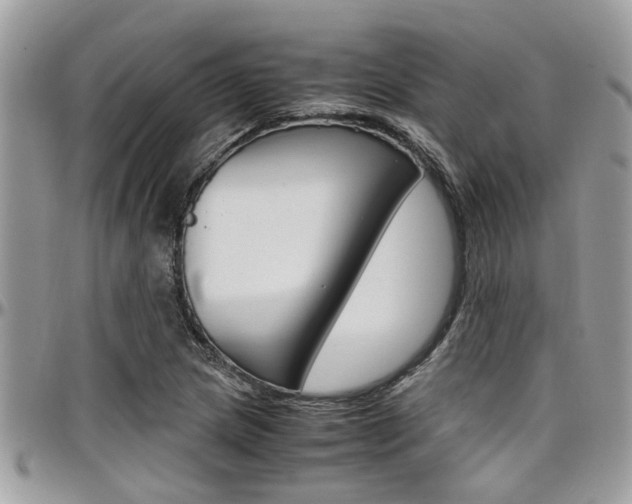 X0000097981217200803241034