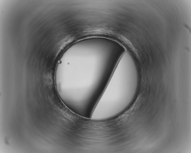 X0000097981218200803241034