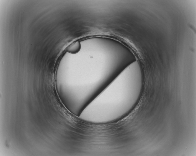 X0000097981220200803241034
