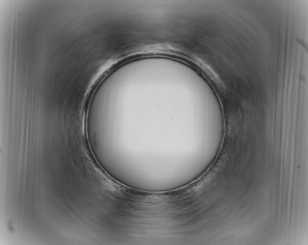 X0000097981224200803241034