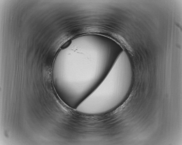 X0000097981225200803241034