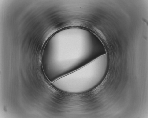 X0000097981226200803241034