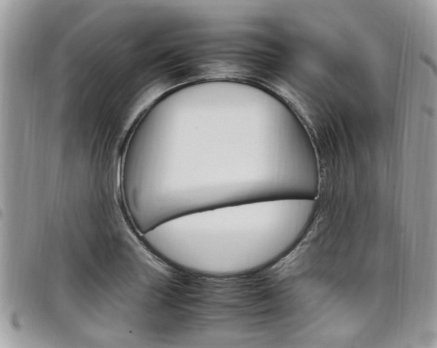 X0000097981227200803241034