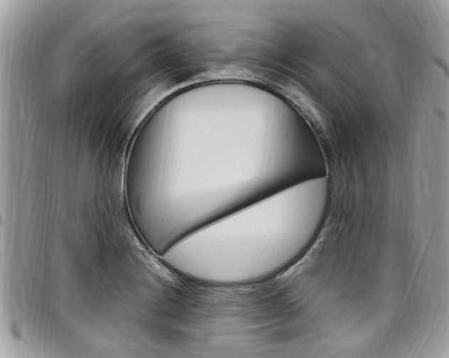 X0000097981228200803241034