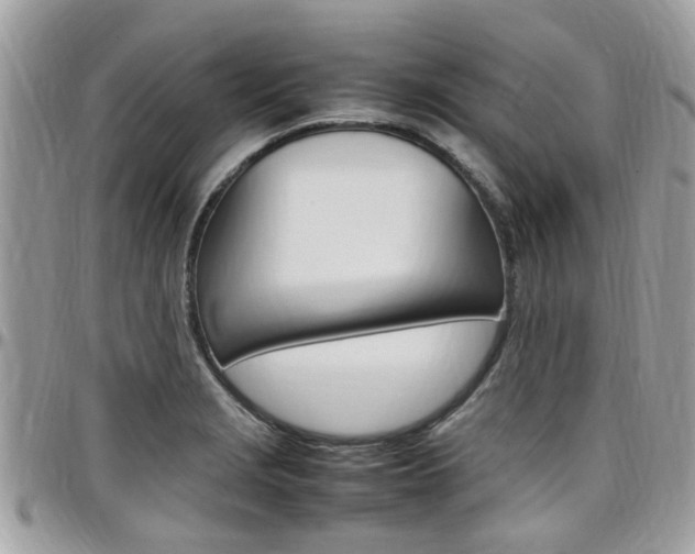 X0000097981229200803241034