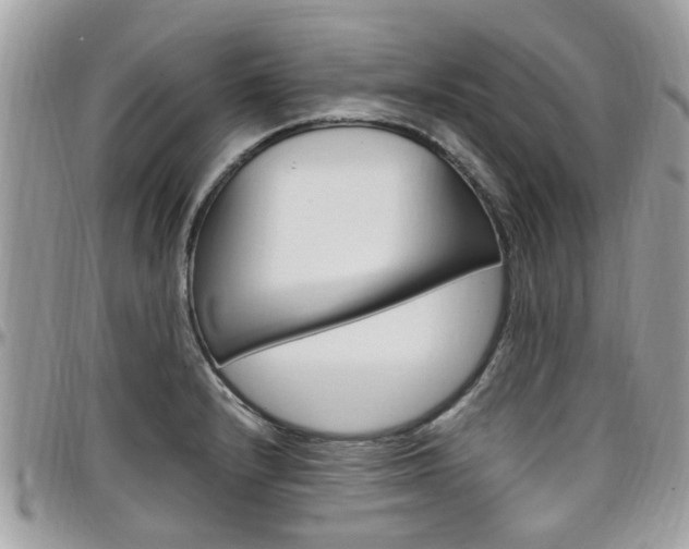 X0000097981232200803241034