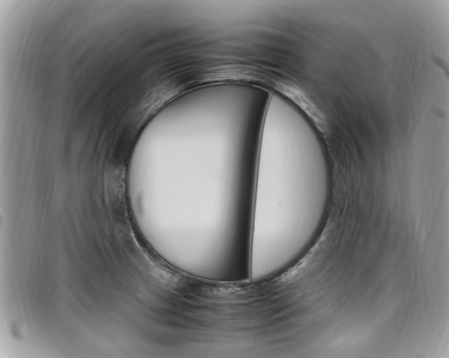 X0000097981233200803241034