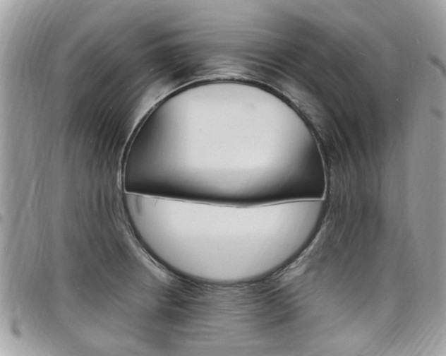 X0000097981234200803241034