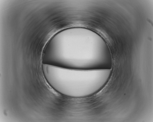 X0000097981236200803241034