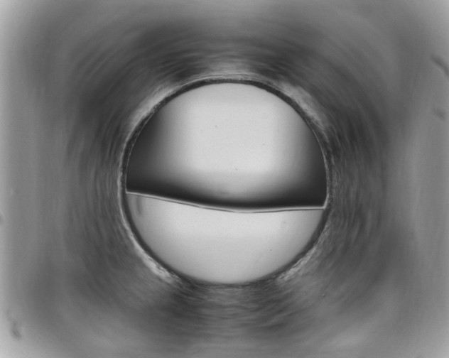 X0000097981237200803241034