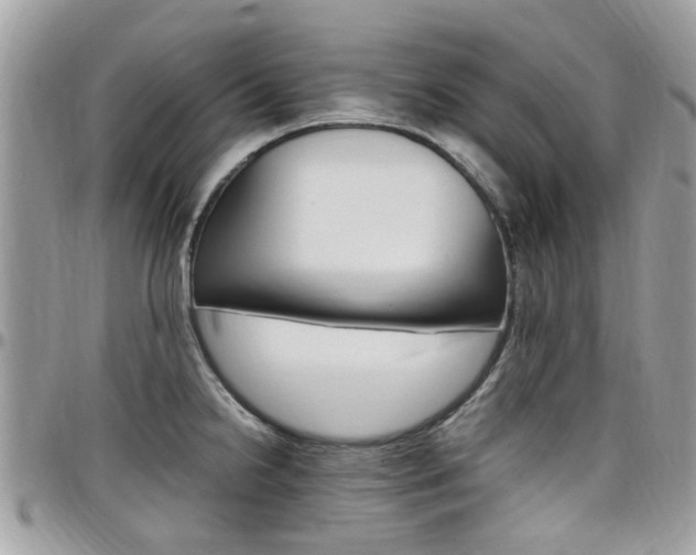 X0000097981238200803241035